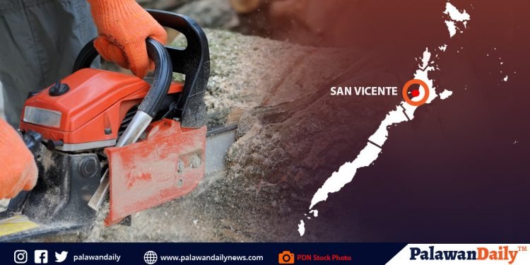 Lumabag sa Chain Saw Act sa San Vicente, nakatakas sa pag-aresto