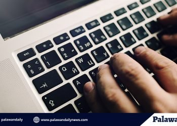 SB member at empleyado ng Narra LGU, nagbangayan sa social media