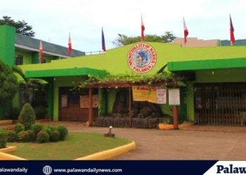 Narra Municipal Budget Officer inaming kulang sa mga planning documents o karampatang attachments ang executive budget plan na pinasa ni Danao noong October 16