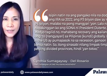 Karagdagang IRA para sa mga bagong probinsiya ng Palawan, walang kasiguraduhan— One Palawan lead Campaigner