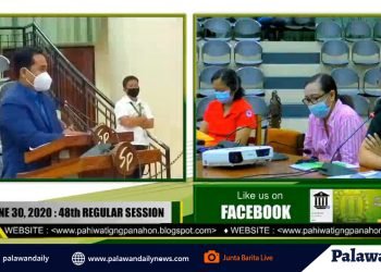 PDRMO head na si Alili, dumepensa sa paratang laban sa kanya