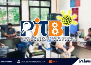 Startups on the rise in Palawan