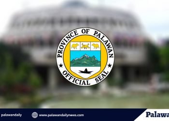 7 months old na sanggol at 2 pang LSIs, pinakabagong nagpositibo sa COVID-19 sa Palawan