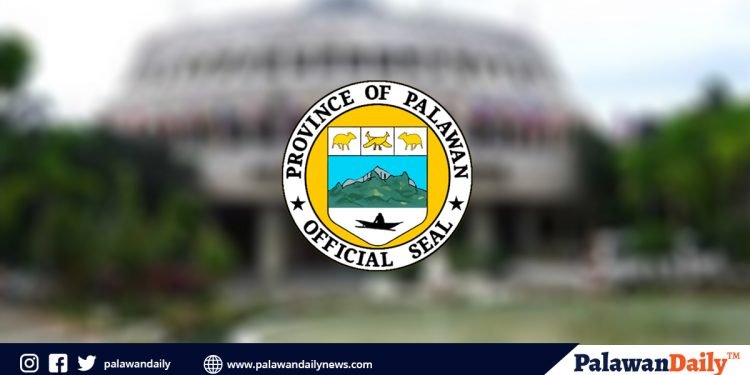 7 months old na sanggol at 2 pang LSIs, pinakabagong nagpositibo sa COVID-19 sa Palawan