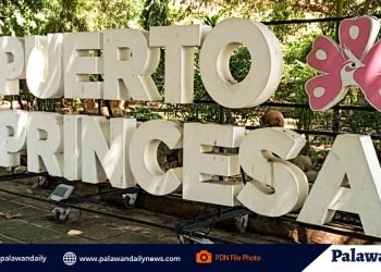 Puerto Princesa’s Tourism declare P1.5 Billion losses due to pandemic