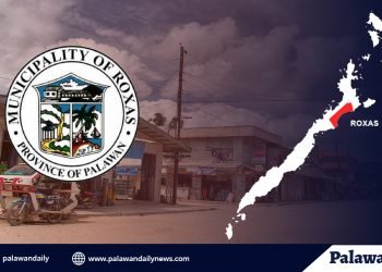 2 kumpirmadong kaso ng COVID-19, naitala sa Bayan ng Roxas