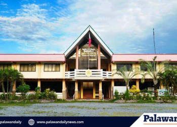 Bayan ng San Vicente, nagpasa ng ordinansa sa pagsugpo ng COVID-19