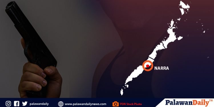 Suspek sa pagpapaputok ng baril sa Narra, kusang sumuko sa mga awtoridad