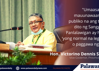 Vice Governor Dennis Socrates (1)