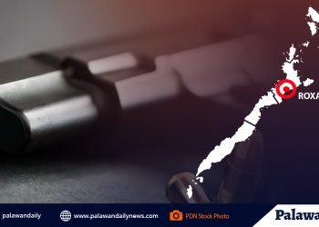 Wanted person sa Roxas dahil sa pagpapaputok ng baril, nadakip na ng PNP Ni