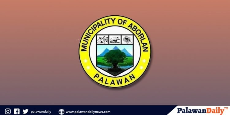 Suspek sa panggagahasa sa 80-anyos na lola sa Aborlan, sumasailalim ngayon sa preliminary investigation
