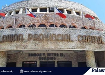 Provincial Board seeks financial assistance for local businesses