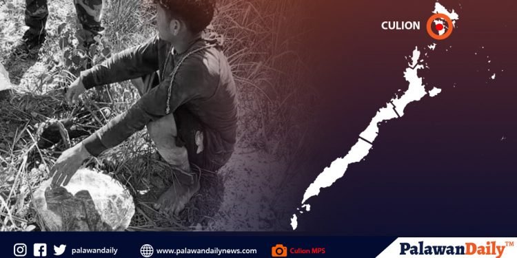 18 anyos na binata sa Culion, nahulihan ng patay na pawikan