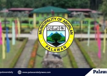 Aborlan, COVID-free na