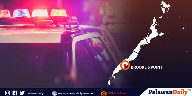 2 kasama sa Top 10 Priority ng PNP-MIMAROPA at Palawan, arestado sa buy-bust