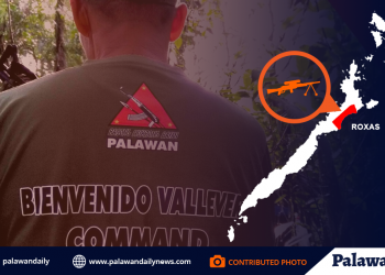 BVC NPA Palawan
