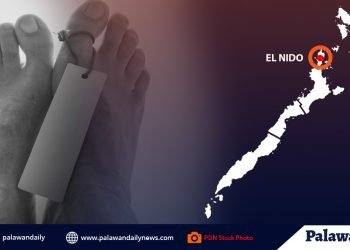 Bangkay ng senior citizen, nakita sa El Nido