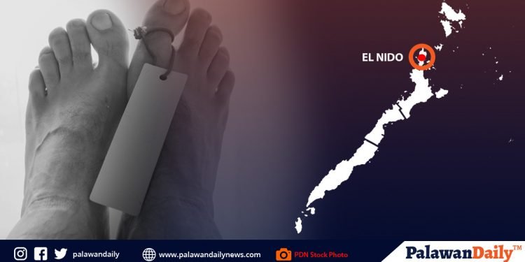 Bangkay ng senior citizen, nakita sa El Nido