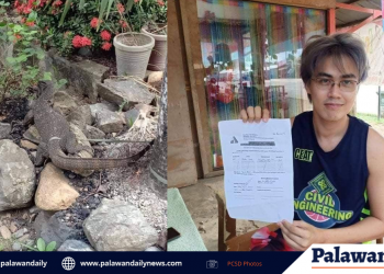 Mahigit 3 kilong bayawak, nasagip sa bahagi ng Brgy. Tiniguiban