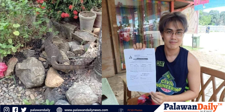 Mahigit 3 kilong bayawak, nasagip sa bahagi ng Brgy. Tiniguiban