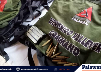 PTF-ELCAC: NPA-Palawan, violators of International Humanitarian Law