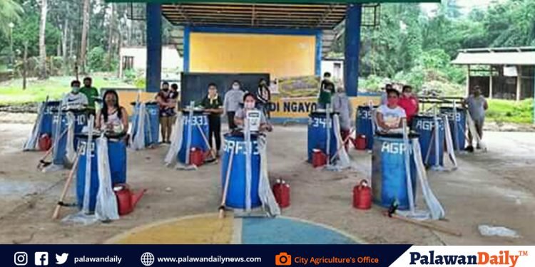 Farm tools and inputs provided to Puerto backyard farmers