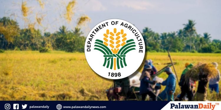 DA urges farmers to enroll in their database