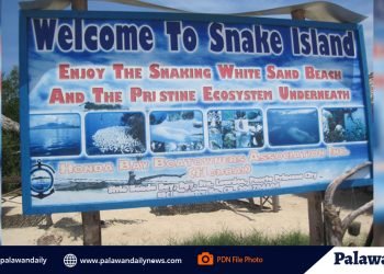 DENR forges stronger partnership for management of Snake Island