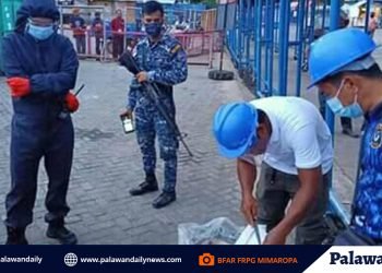 BFAR intercepts blasted fish in Coron port