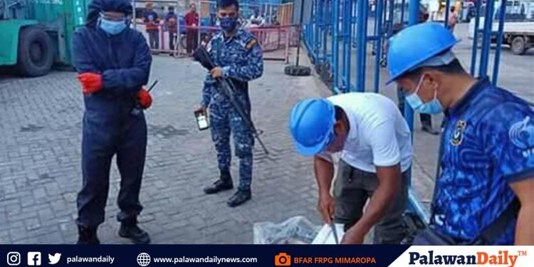 BFAR intercepts blasted fish in Coron port
