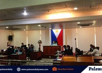 Seguridad sa Puerto Princesa, bubusisiin ng konseho