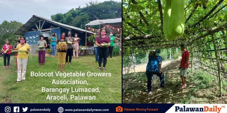 Food security, patuloy na tinututukan sa Palawan