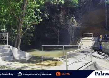 NIA-Palawan completes P30M irrigation project in Lucbuan