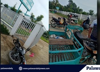 Magsasaka, tinambangan sa labas ng Narra Medicare Hospital; Health worker, tinamaan din