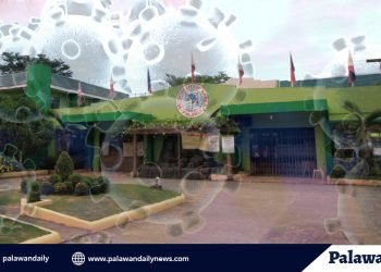 Narra records first COVID-19 case