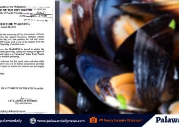 Puerto Princesa Bay, mayroon muling red tide