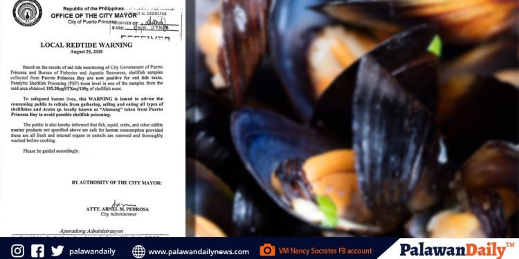 Puerto Princesa Bay, mayroon muling red tide