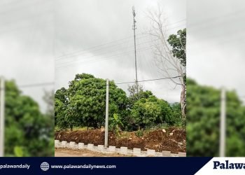 Smart, magtatayo ng karagdagang cell sites sa Narra upang mapabilis ang data connection