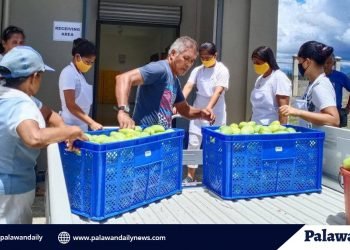 World Bank: Mango processing project in Puerto Princesa, a promising enterprise