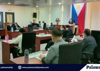 Panukalang ordinansa na magbibigay diskwento sa mga negosyante sa lungsod,  hindi na itinuloy ng Konseho