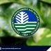DENR warns vs. illegal plant trade