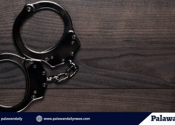 Wanted person sa Baguio City dahil sa kasong Estafa, nadakip sa El Nido