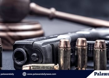 2 wanted persons, arestado sa El Nido