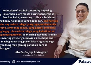 Pagbabalik ng liquor ban sa Palawan iminimungkahi ni BM Rodriguez