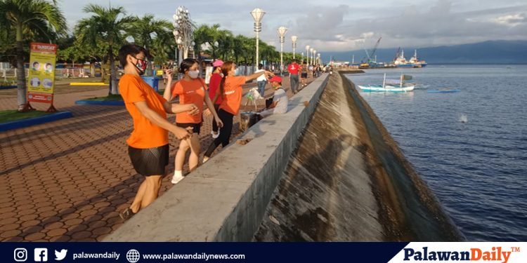 City ENRO, civic groups throw mudballs to clean coastal waters