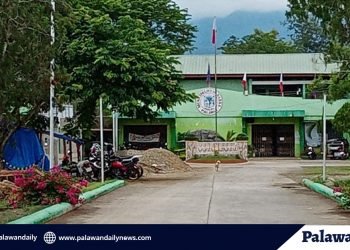 Narra SB discusses proposed ordinances for solo parents and PWDs