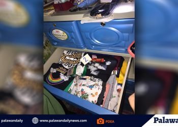 Anti-narco officers bag drug suspect