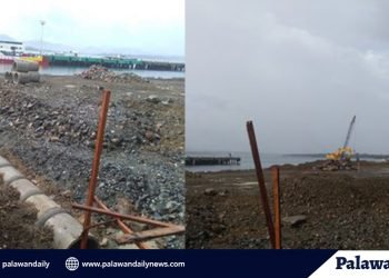 PPA implements P326-Million port expansion project