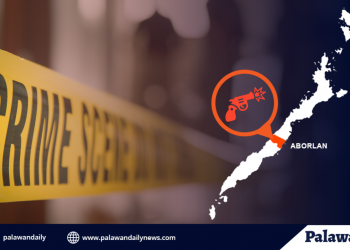 Lalaki, pinagbabaril ng riding in tandem sa Aborlan