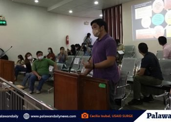 Puerto Princesa City presents roadmap for re-opening of tourism sector